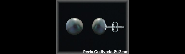 Pendientes Plata al por mayor ref M8214GW Mayoristas Plata al por Mayor