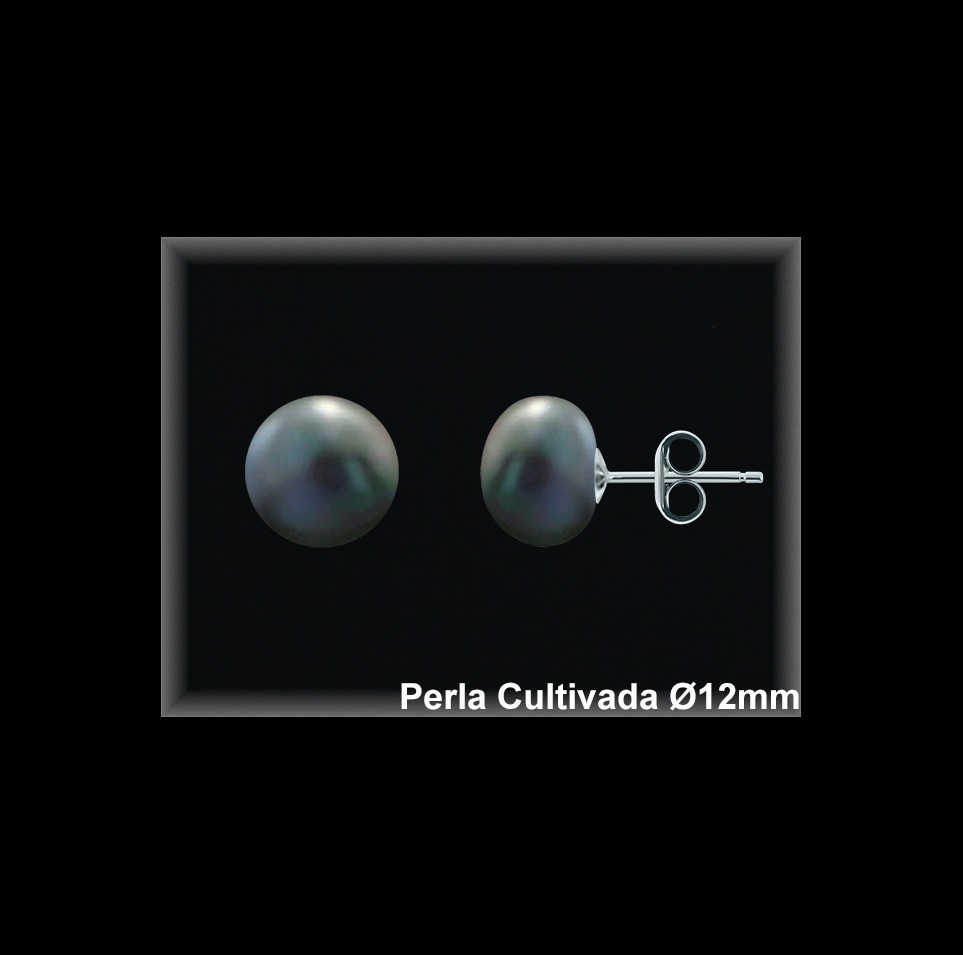 Pendientes Plata al por mayor ref M8214GW Mayoristas Plata al por Mayor