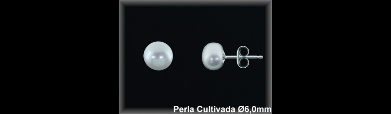 Pendientes Plata al por mayor ref M8209W Mayoristas Plata al por Mayor