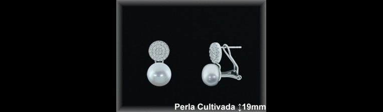 Pendientes Plata al por mayor ref R8601 Mayoristas Plata al por Mayor