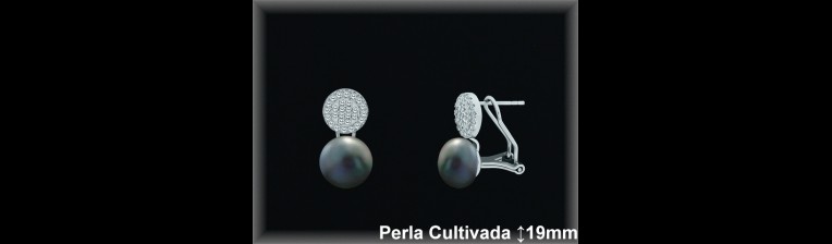 Pendientes Plata al por mayor ref R8601G Mayoristas Plata al por Mayor