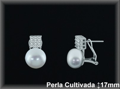 Pendientes Plata al por mayor ref R8603 Mayoristas Plata al por Mayor