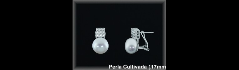 Pendientes Plata al por mayor ref R8603 Mayoristas Plata al por Mayor