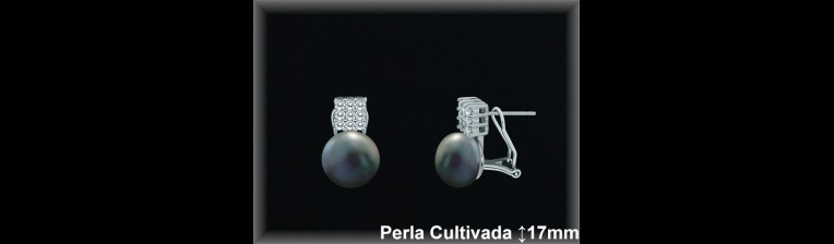 Pendientes Plata al por mayor ref R8603G Mayoristas Plata al por Mayor