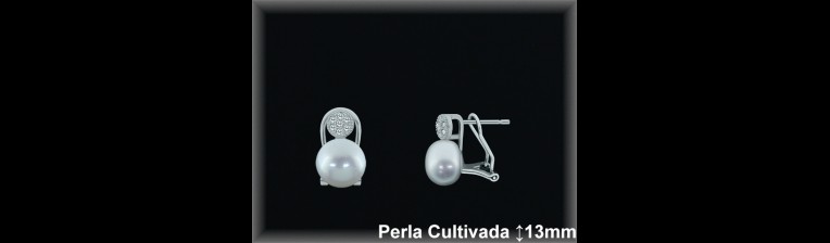 Pendientes Plata al por mayor ref R8642 Mayoristas Plata al por Mayor