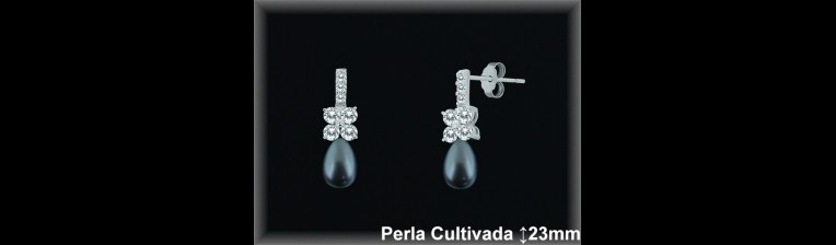 Pendientes Plata al por mayor ref R8511G Mayoristas Plata al por Mayor