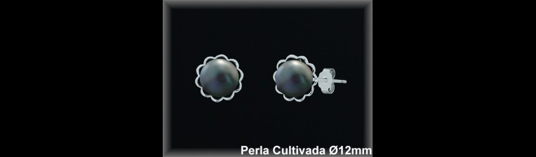 Pendientes Plata al por mayor ref R8556G Mayoristas Plata al por Mayor