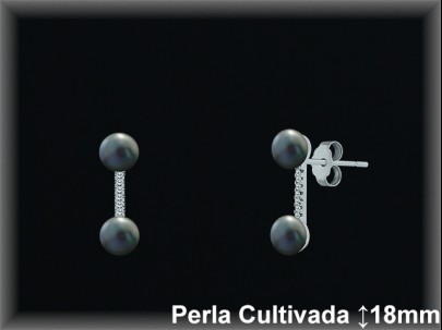 Pendientes Plata al por mayor ref R8637G Mayoristas Plata al por Mayor