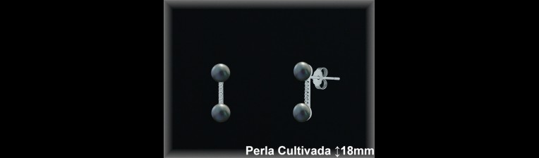 Pendientes Plata al por mayor ref R8637G Mayoristas Plata al por Mayor