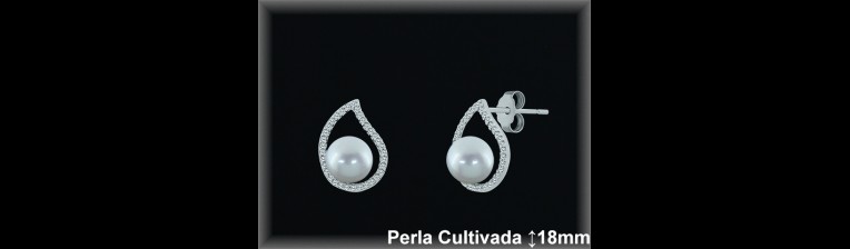 Pendientes Plata al por mayor ref R8504 Mayoristas Plata al por Mayor