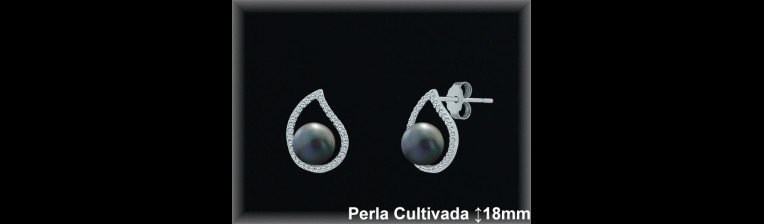 Pendientes Plata al por mayor ref R8504G Mayoristas Plata al por Mayor