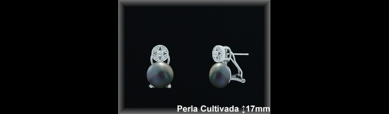 Pendientes Plata al por mayor ref R8572G Mayoristas Plata al por Mayor