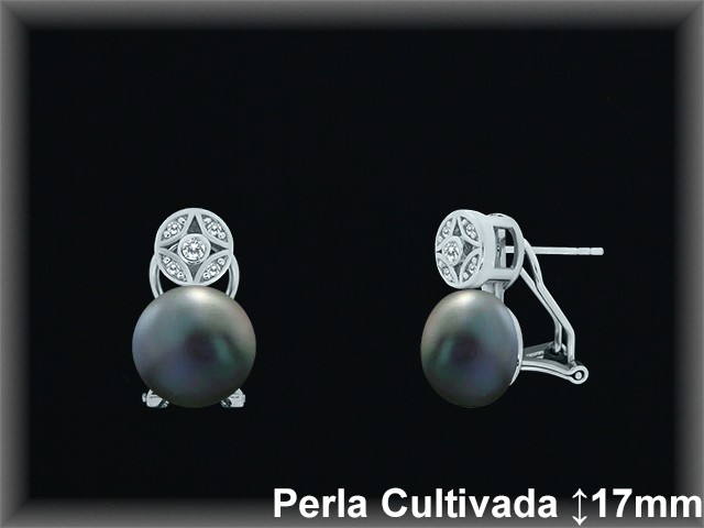 Pendientes Plata al por mayor ref R8572G Mayoristas Plata al por Mayor