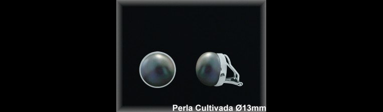 Pendientes Plata al por mayor ref R8574G Mayoristas Plata al por Mayor