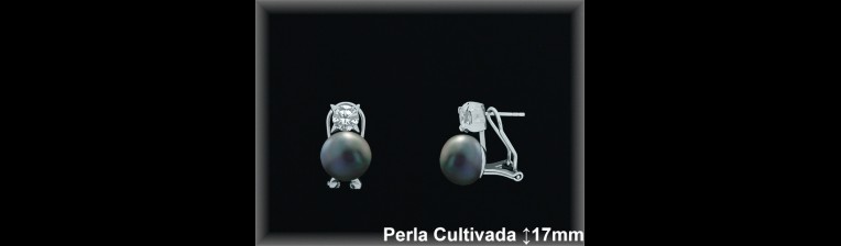 Pendientes Plata al por mayor ref R8528G Mayoristas Plata al por Mayor