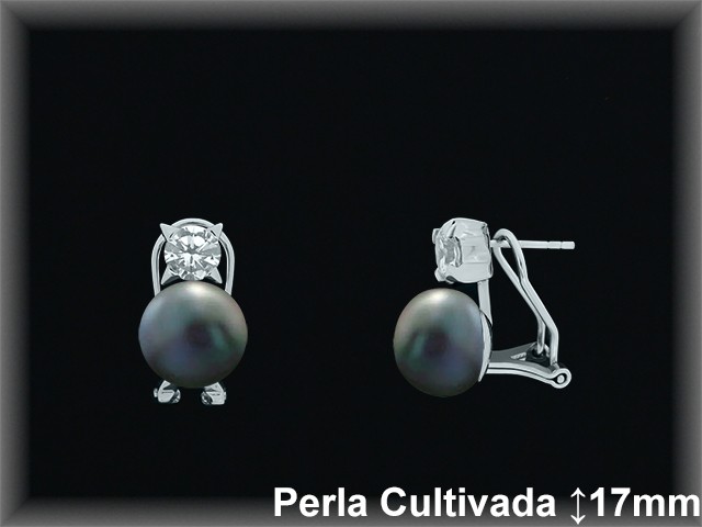 Pendientes Plata al por mayor ref R8528G Mayoristas Plata al por Mayor