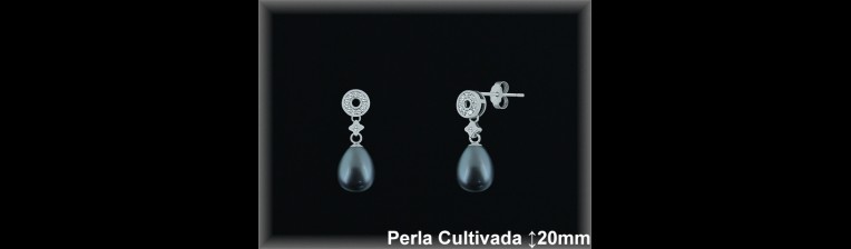 Pendientes Plata al por mayor ref R6668G Mayoristas Plata al por Mayor