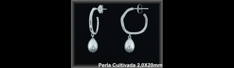 Pendientes Plata al por mayor ref R8660 Mayoristas Plata al por Mayor