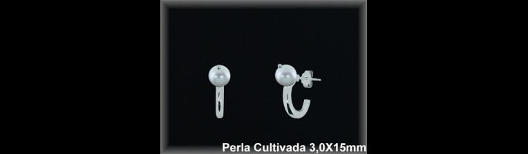 Pendientes Plata al por mayor ref R8667 Mayoristas Plata al por Mayor