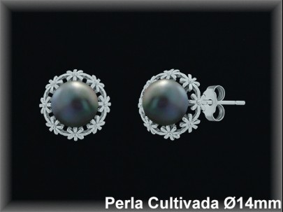 Pendientes Plata al por mayor ref R8662G Mayoristas Plata al por Mayor