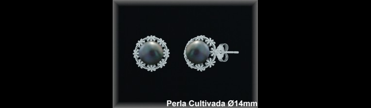 Pendientes Plata al por mayor ref R8662G Mayoristas Plata al por Mayor