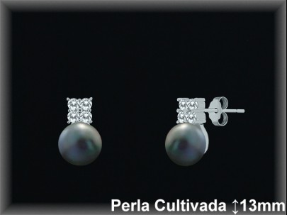 Pendientes Plata al por mayor ref R8669G Mayoristas Plata al por Mayor