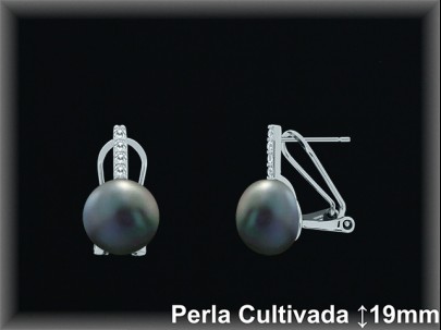 Pendientes Plata al por mayor ref R8670G Mayoristas Plata al por Mayor