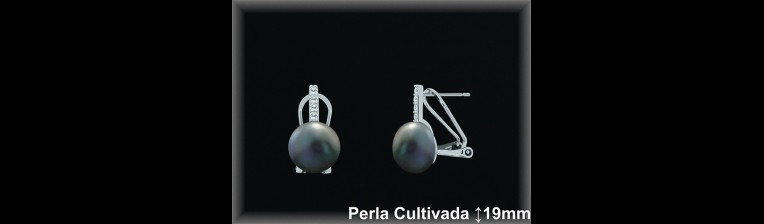 Pendientes Plata al por mayor ref R8670G Mayoristas Plata al por Mayor