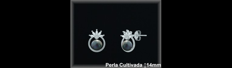 Pendientes Plata al por mayor ref R8664G Mayoristas Plata al por Mayor