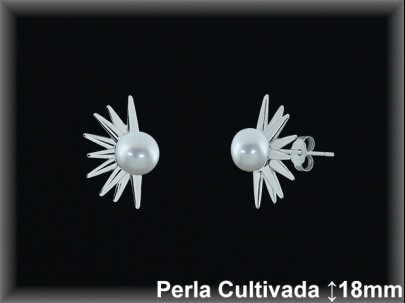 Pendientes Plata al por mayor ref R8655 Mayoristas Plata al por Mayor