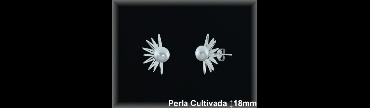 Pendientes Plata al por mayor ref R8655 Mayoristas Plata al por Mayor