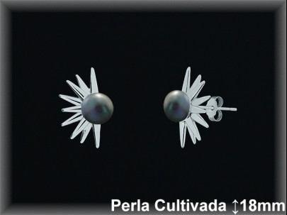 Pendientes Plata al por mayor ref R8655G Mayoristas Plata al por Mayor