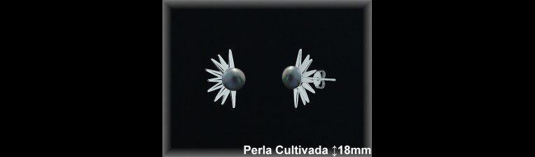 Pendientes Plata al por mayor ref R8655G Mayoristas Plata al por Mayor