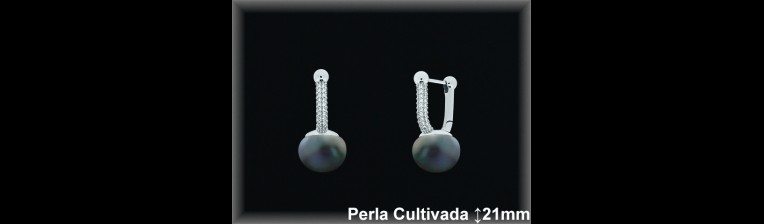 Pendientes Plata al por mayor ref R8658G Mayoristas Plata al por Mayor