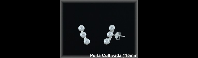 Pendientes Plata al por mayor ref R8656 Mayoristas Plata al por Mayor