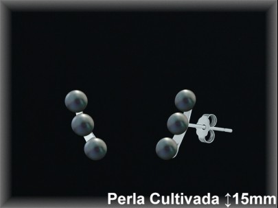 Pendientes Plata al por mayor ref R8656G Mayoristas Plata al por Mayor