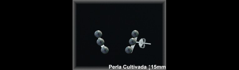 Pendientes Plata al por mayor ref R8656G Mayoristas Plata al por Mayor