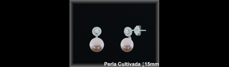 Pendientes Plata al por mayor ref R8569C Mayoristas Plata al por Mayor