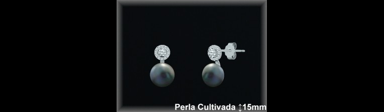 Pendientes Plata al por mayor ref R8569G Mayoristas Plata al por Mayor