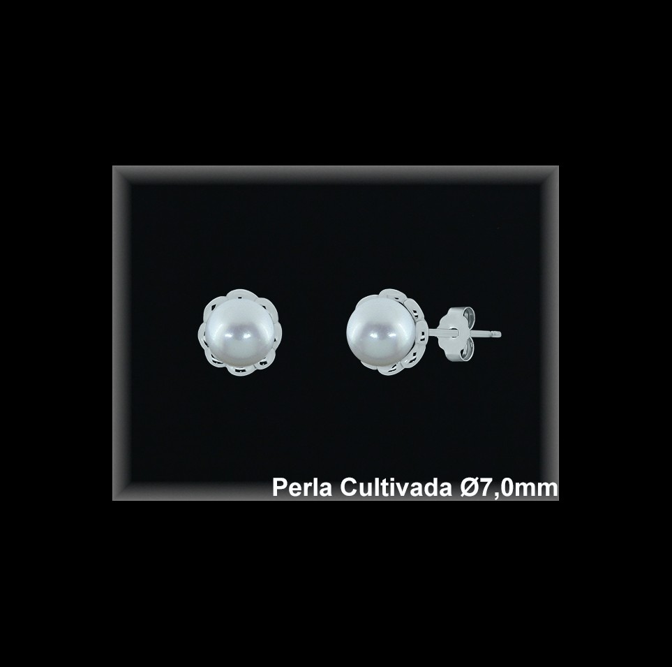 Pendientes Plata al por mayor ref MR019W Mayoristas Plata al por Mayor