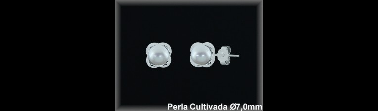 Pendientes Plata al por mayor ref MR020W Mayoristas Plata al por Mayor