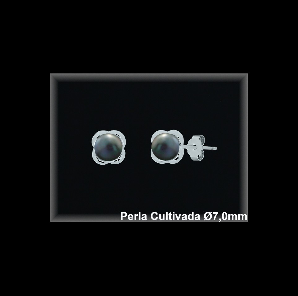 Pendientes Plata al por mayor ref MR020GW  Mayoristas Plata al por Mayor