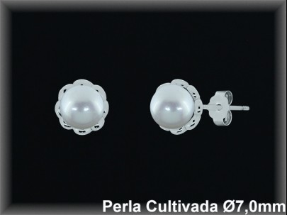 Pendientes Plata al por mayor ref MR019231 Mayoristas Plata al por Mayor