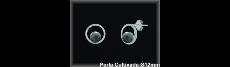 Pendientes Plata al por mayor ref R8623G Mayoristas Plata al por Mayor