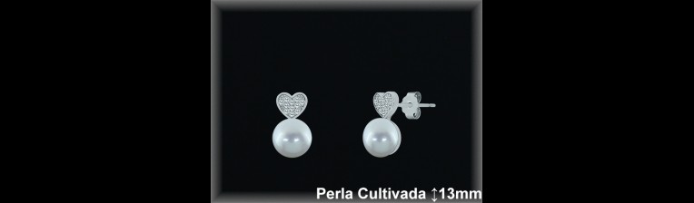 Pendientes Plata al por mayor ref R8622 Mayoristas Plata al por Mayor