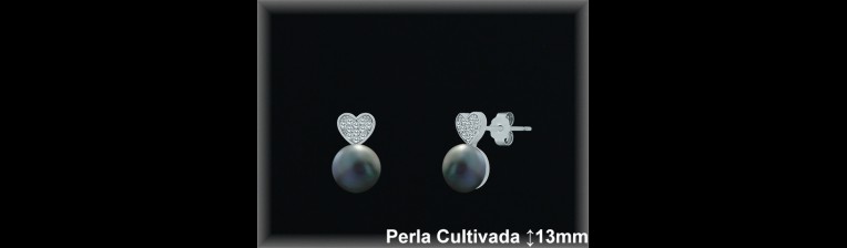 Pendientes Plata al por mayor ref R8622G Mayoristas Plata al por Mayor