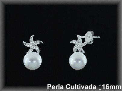 Pendientes Plata al por mayor ref R8605 Mayoristas Plata al por Mayor