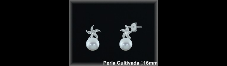 Pendientes Plata al por mayor ref R8605 Mayoristas Plata al por Mayor