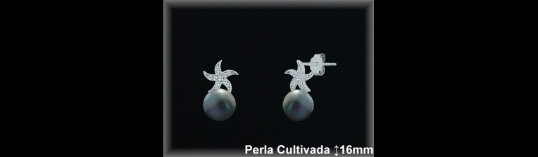 Pendientes Plata al por mayor ref R8605G Mayoristas Plata al por Mayor