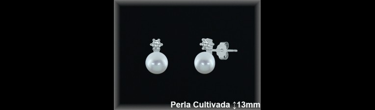 Pendientes Plata al por mayor ref R8489 Mayoristas Plata al por Mayor